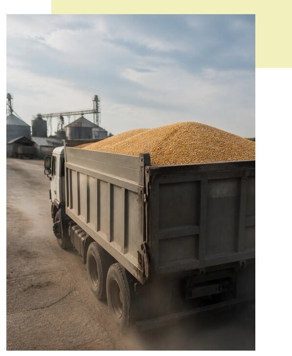 Перевозка сельхозпродукции навалом в Камень-на-Обь по цене от 3045 р. | Агросервис-Кно